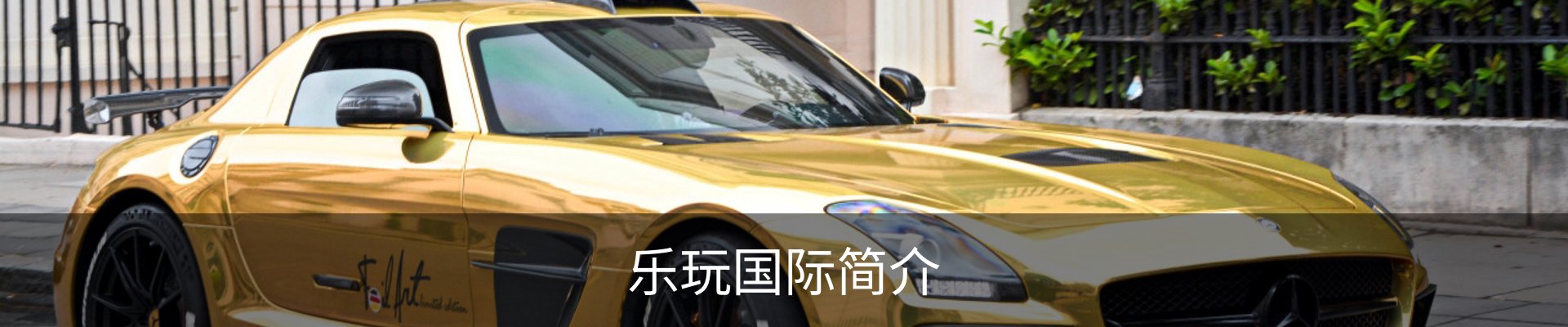 乐玩国际简介